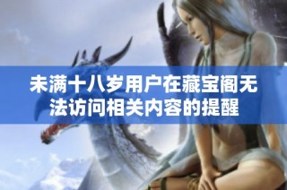 未满十八岁用户在藏宝阁无法访问相关内容的提醒