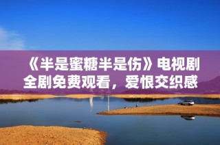 《半是蜜糖半是伤》电视剧全剧免费观看，爱恨交织感动人心