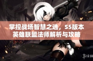 掌控战场智慧之选，S5版本英雄联盟法师解析与攻略