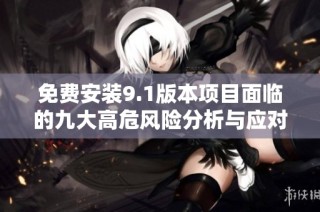 免费安装9.1版本项目面临的九大高危风险分析与应对策略