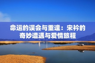 命运的误会与重逢：宋衿的奇妙遭遇与爱情旅程