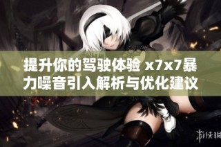 提升你的驾驶体验 x7x7暴力噪音引入解析与优化建议