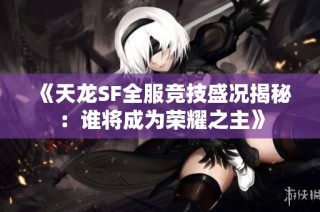 《天龙SF全服竞技盛况揭秘：谁将成为荣耀之主》