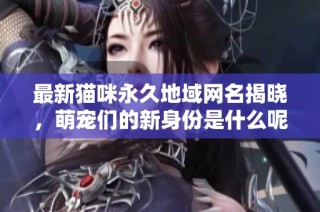 最新猫咪永久地域网名揭晓，萌宠们的新身份是什么呢