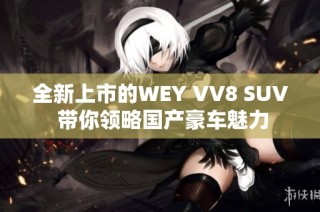 全新上市的WEY VV8 SUV 带你领略国产豪车魅力
