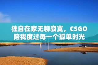 独自在家无聊寂寞，CSGO陪我度过每一个孤单时光