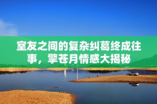 室友之间的复杂纠葛终成往事，擎苍月情感大揭秘