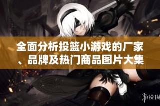 全面分析投篮小游戏的厂家、品牌及热门商品图片大集合