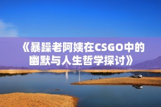《暴躁老阿姨在CSGO中的幽默与人生哲学探讨》