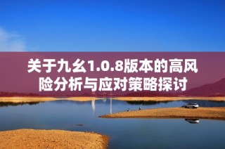 关于九幺1.0.8版本的高风险分析与应对策略探讨