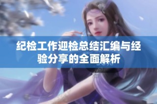 纪检工作迎检总结汇编与经验分享的全面解析