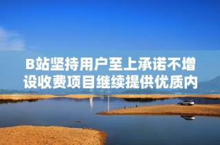 B站坚持用户至上承诺不增设收费项目继续提供优质内容