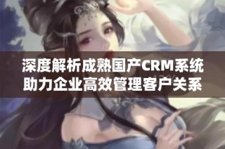 深度解析成熟国产CRM系统助力企业高效管理客户关系