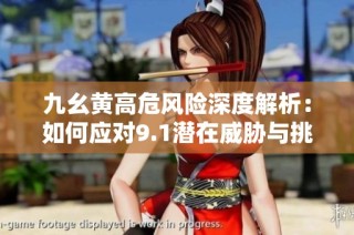 九幺黄高危风险深度解析：如何应对9.1潜在威胁与挑战