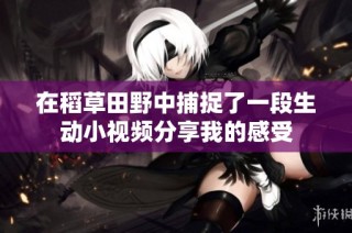 在稻草田野中捕捉了一段生动小视频分享我的感受