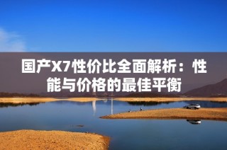 国产X7性价比全面解析：性能与价格的最佳平衡
