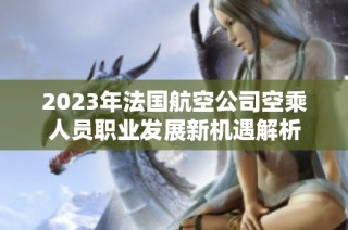 2023年法国航空公司空乘人员职业发展新机遇解析