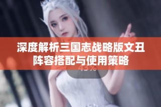 深度解析三国志战略版文丑阵容搭配与使用策略