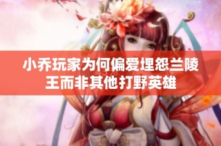 小乔玩家为何偏爱埋怨兰陵王而非其他打野英雄