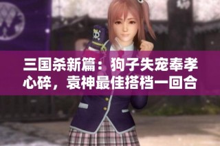 三国杀新篇：狗子失宠奉孝心碎，袁神最佳搭档一回合决胜负！