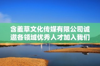 含羞草文化传媒有限公司诚邀各领域优秀人才加入我们的团队
