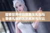 魔兽世界怀旧服重生礼包与普通礼包的区别解析与对比