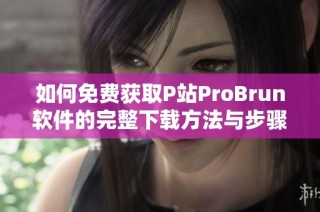 如何免费获取P站ProBrun软件的完整下载方法与步骤