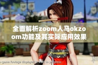 全面解析zoom人马okzoom功能及其实际应用效果