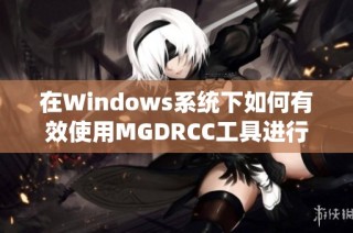 在Windows系统下如何有效使用MGDRCC工具进行野外探测
