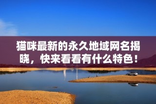 猫咪最新的永久地域网名揭晓，快来看看有什么特色！