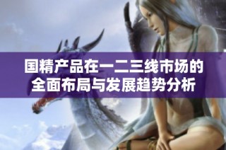 国精产品在一二三线市场的全面布局与发展趋势分析