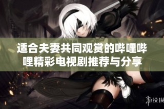 适合夫妻共同观赏的哔哩哔哩精彩电视剧推荐与分享