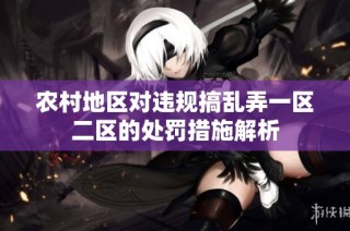 农村地区对违规搞乱弄一区二区的处罚措施解析