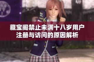 藏宝阁禁止未满十八岁用户注册与访问的原因解析