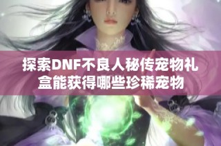 探索DNF不良人秘传宠物礼盒能获得哪些珍稀宠物