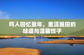 鸣人回忆童年，重温雏田的味道与温馨饺子
