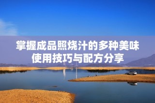 掌握成品照烧汁的多种美味使用技巧与配方分享