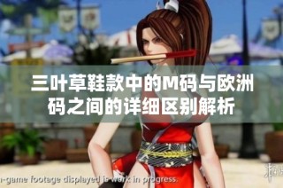 三叶草鞋款中的M码与欧洲码之间的详细区别解析