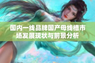 国内一线品牌国产母线槽市场发展现状与前景分析