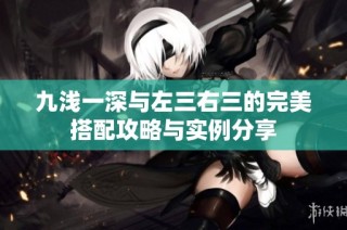 九浅一深与左三右三的完美搭配攻略与实例分享