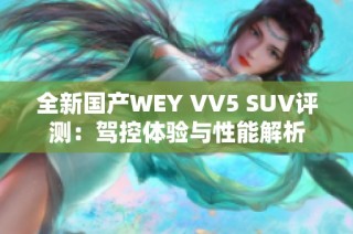 全新国产WEY VV5 SUV评测：驾控体验与性能解析