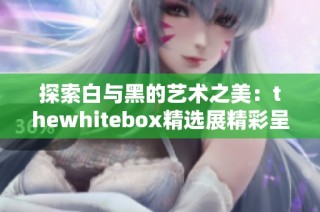 探索白与黑的艺术之美：thewhitebox精选展精彩呈现
