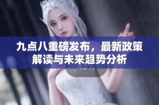 九点八重磅发布，最新政策解读与未来趋势分析