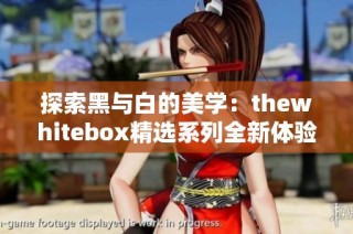 探索黑与白的美学：thewhitebox精选系列全新体验