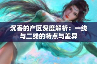 沉香的产区深度解析：一线与二线的特点与差异