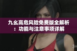 九幺高危风险免费版全解析：功能与注意事项详解
