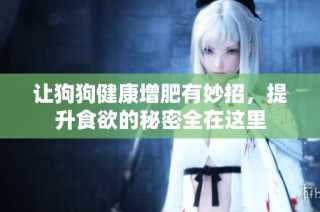 让狗狗健康增肥有妙招，提升食欲的秘密全在这里