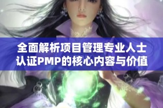 全面解析项目管理专业人士认证PMP的核心内容与价值