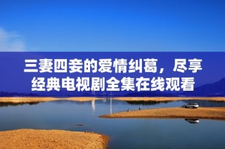 三妻四妾的爱情纠葛，尽享经典电视剧全集在线观看