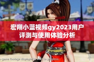 宏翔小蓝视频gy2023用户评测与使用体验分析